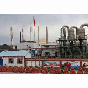 Shanghai Factory Tomato Pulp Making Machine/ketchup Making Machine thumbnail-3