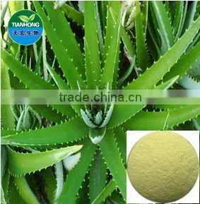 Pure Natural Aloe Vera Extract Gel Freeze Dried Powder Aloin 80% thumbnail-1