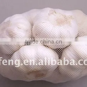 Chinese White Garlic thumbnail-1