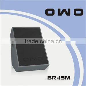 BR Series PA Loudspeaker BR-15M thumbnail-1