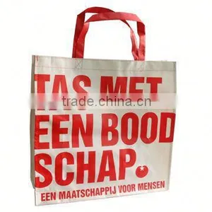 2014 New Product Shopping Bag for Frozen Food thumbnail-1