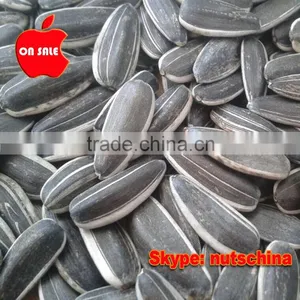 Sunflower Seeds 5009/118/3939/5135/6009 thumbnail-5