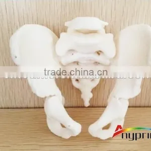 Middle Size 3D Printer Human Skeleton Printing Machine Orthotics Printing Machine thumbnail-2