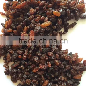 Fast Selling AD Dried Brown Sultana Raisins thumbnail-3