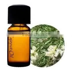 Pure Cajuput Oil On Sale From India thumbnail-1