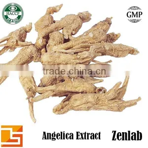 Natural Angelica Root Sinensis Powder for Hypotensive thumbnail-1