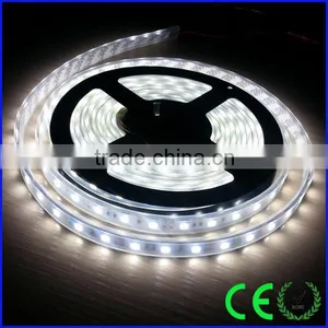 5050 60leds Waterproof 12v Waterproof Cold White 5050 Flex Strip thumbnail-1