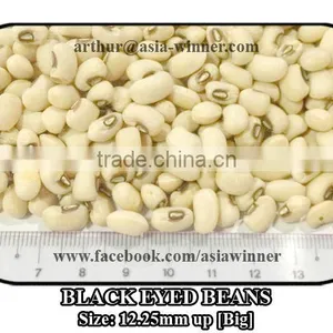Cowpeas [Big] thumbnail-1
