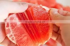 Fresh Pomelo Vietnam thumbnail-1
