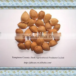 HPS Bitter Apricot Pit thumbnail-1