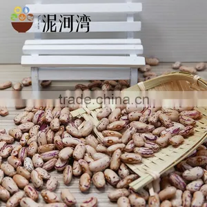 Light Speckled Kidney Bean 200-220pcs With Best Price thumbnail-1
