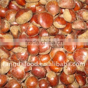 New Crop Chinese Chestnut thumbnail-1
