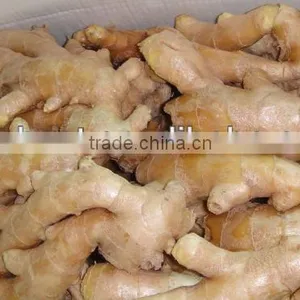 Fresh Mature Ginger thumbnail-4