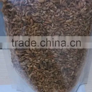 Protein Dried Insects thumbnail-4