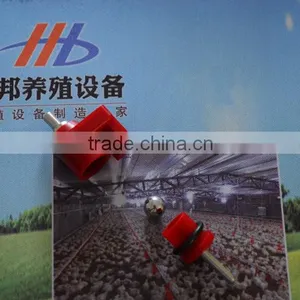 Iran Poultry Poultry Equipment.equipment Poultry Algeria thumbnail-1