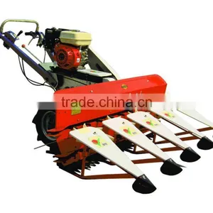 Self-propelled Walking Behind Wheat Harvester in Harvesters thumbnail-1