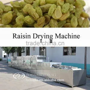Raisin Drying Machine thumbnail-1