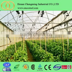 Poly Tunnel for Strawberries Tropical Greenhouse Tunnel for Sale thumbnail-3