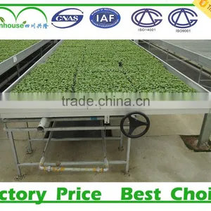 Plastic Greenhouse Agriculture thumbnail-5