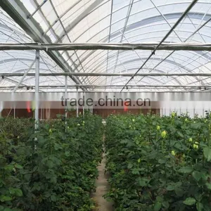 Flower Greenhouse thumbnail-3