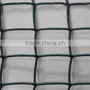 Plastic Garen Net/PLATIC MESH/HDPE Garden Fence thumbnail-1