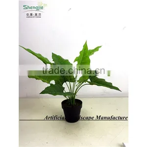 SAS201603 China Supplier Artificial Greenery Plant,Indoor Fake Ornamental Foliage Plant thumbnail-4