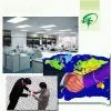 Reliable Cargo Handling Agent thumbnail-1