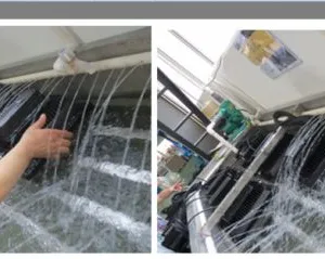 Iled Lights Co.,ltd company overview - view 3 thumbnail
