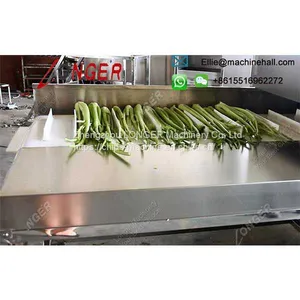 Vegetable Root Cutting Machine thumbnail-4