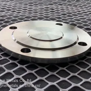 Pure or Alloy Titanium Forged Flange ASTM B16.5 or EN1092-1 thumbnail-1
