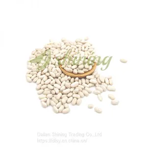 High Quality White Kidney Bean Spanish Type thumbnail-2