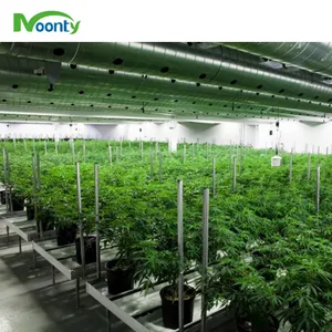 Light Deprivation Blackout Tunnel Greenhouse for Canada USA Medical Plants thumbnail-5