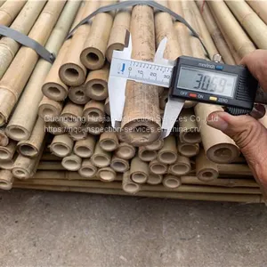 Bamboo Products Inspection Services and Quality Control of Guangdong Huajian Inspection Co., Ltd thumbnail-2