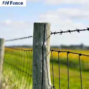 High Tensile Hinge Joint and Fixed Knot Fence for Farm and Cattle Field thumbnail-3