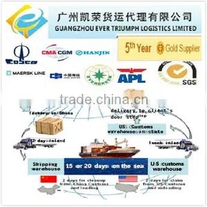 Guangzhou Shenzhen Shanghai Sea Freight Forwarder to USA (DDU Shipping) thumbnail-1