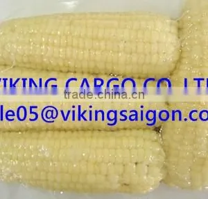 BEST PRICE_FROZEN WHITE CORN_FROM VIETNAM ! thumbnail-1