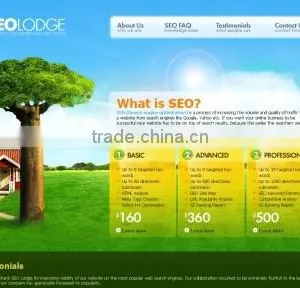 Professional Social Media Optimization Services in India thumbnail-4