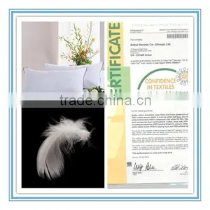 New Arrival Product Wholesale Cheap 2-4cm White Duck Fether Pillow thumbnail-2