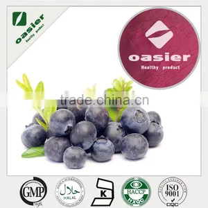 Blueberry Fruit Powder thumbnail-1