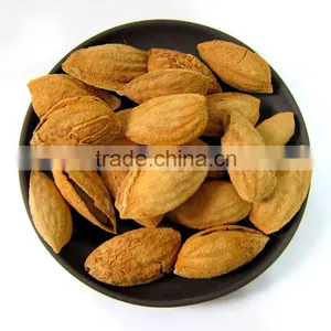 Sweet Almond thumbnail-1