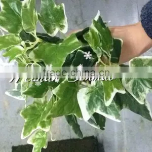 PE Material Artificial Hanging Leaves Simulation Vine Leaf for Plant Wall Decor thumbnail-3