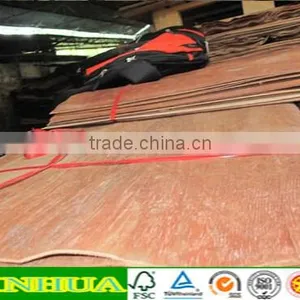 0.28mm Keruing Veneer for India Market thumbnail-2