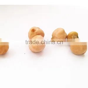 More Than 8 mm Fresh Chickpeas Xinjiang Chickpea Pois Chiche thumbnail-4