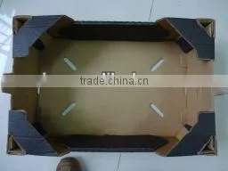 Pineapple Packaging Box thumbnail-1