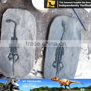 MY Dino-C093 Museum Exhibition Dinosaur Egg Specimen thumbnail-4