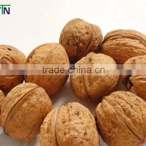TTN 2015 Chinese Walnut Price thumbnail-3