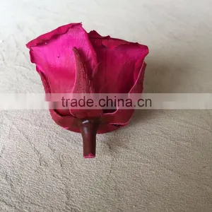 Wholesale Real Natural Preserved Roses Everasting Roses Preserve Flower thumbnail-5
