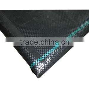 Best Quality PP Ground Cover Weed Net thumbnail-2