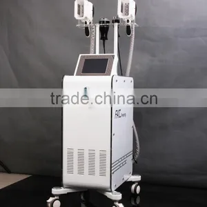 Vertical Cryolipolysis Fat Freezing Machine 220 / 110V Lymphatic Drainage Machine Flabby Skin thumbnail-1