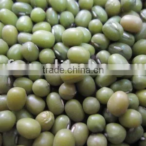 Green Mung Beans 2010 New Crop thumbnail-1
